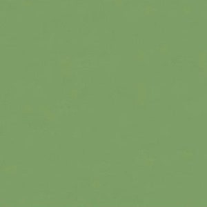 May include: Solid green background with a textured appearance. The color is a muted, earthy green, reminiscent of foliage. The surface has subtle variations in tone, suggesting a painted or natural material.
