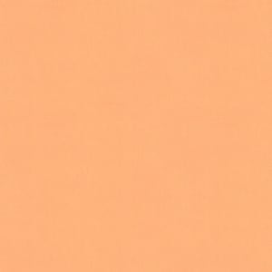 May include: A solid peach-colored fabric with a subtle textured appearance. The color is a warm, inviting tone, suitable for various craft projects or apparel.