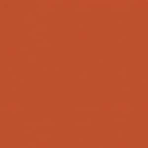 May include: Solid orange-red background with a slightly textured surface. The color is a warm, earthy tone, similar to terracotta or rust. The image is a close-up, showing the consistent color and texture across the entire frame.