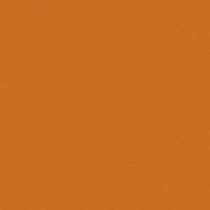 May include: Solid orange background with a textured surface. The color is a warm, earthy tone, reminiscent of autumn leaves or terracotta.