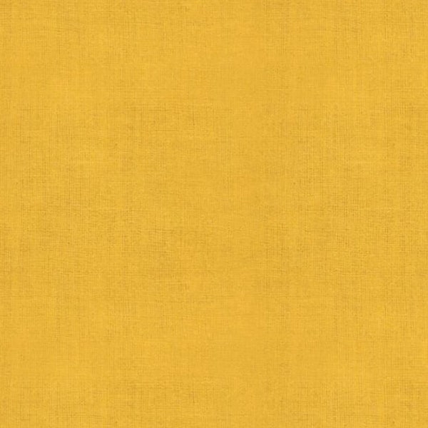 Warp and Weft Honey Goldenrod Cross Weave Yardage by Alexia Abegg for Ruby Star Society and Moda Fabrics | SKU#RS4015 20