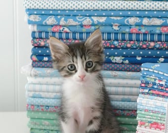 A Cat Named Stitch Bundles - Designed by Camille Roskelley for Moda Fabrics - 40 Pieces - Half Yards, Fat Quarters and Fat Eighths