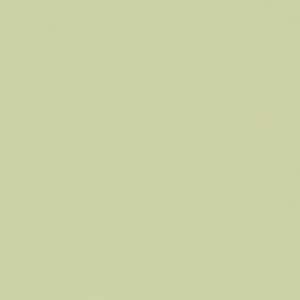 May include: A solid, pale green background with a slightly textured appearance. The color is a soft, muted shade, reminiscent of a light, earthy tone. The surface appears to be evenly colored with subtle variations.