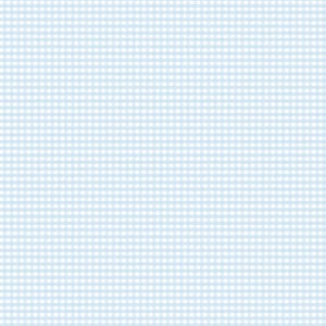 May include: A light blue and white gingham pattern. The pattern consists of evenly spaced squares, creating a classic and clean design. The grid-like arrangement is consistent across the entire image, offering a simple and versatile aesthetic.