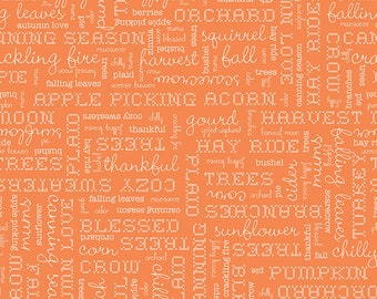 Autumn - Pumpkin Words C14667 - Designed by Lori Holt of Bee in my Bonnet - for Riley Blake Designs - sold by the half yard