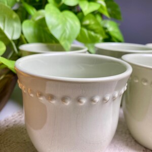 May include: A close-up of several light green ceramic cups. Each cup has a rounded shape with a beaded design around the top. The cups are arranged in a group, with green foliage in the background.