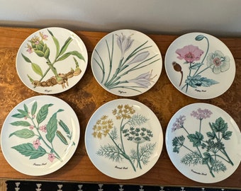 Set/6 Vintage Horchow Collection Botanical 7.5" Plates | Made in Japan, c. 1980s