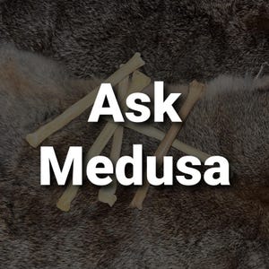 May include: A close-up of a brown fur background with the text "Ask Medusa" in white letters. There are several light brown sticks arranged around the text.