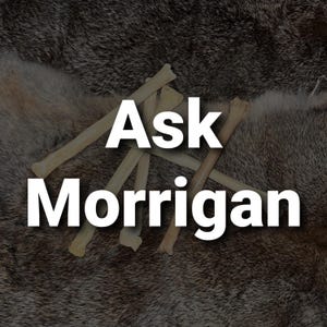May include: A close-up of a pile of animal bones with the text "Ask Morrigan" written in white letters on a dark background.