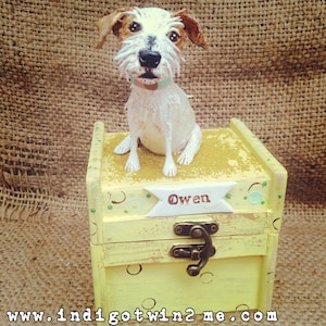May include: A handcrafted, painted wooden box with a decorative dog figurine on top. The box is yellow with a metal clasp and the name "Owen" on a banner. The dog is white with brown and tan markings.