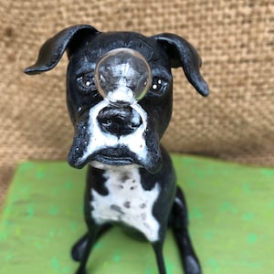 May include: A black and white boxer dog figurine with a clear glass bubble on its nose. The figurine is sitting on a green surface.