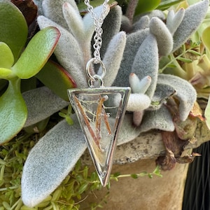 Triangular Resin necklace made with pine needles and silver chain- 18.5" long chain
