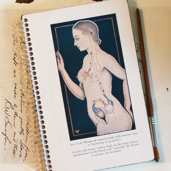 RESERVED - The Biological Imperative - The Illustrated Encyclopedia of Sex - A Premium One of a Kind Handmade Vintage Journal or Sketchbook