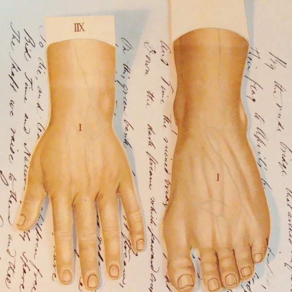 1910 - French Hand-Colored Chromographs of the Hand and Foot With Three Layers of Fold-Outs