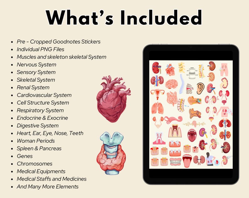 May include: A digital tablet screen displaying a variety of colorful illustrations of human anatomy, including the heart, lungs, kidneys, and skeletal system. The text "What's Included" is at the top of the screen.