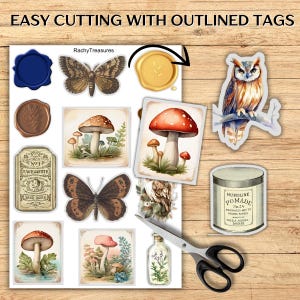 May include: A sheet of stickers with various designs, including mushrooms, butterflies, an owl, and wax seals. The stickers are in a watercolor style with a vintage aesthetic. The text "EASY CUTTING WITH OUTLINED TAGS" is at the top.