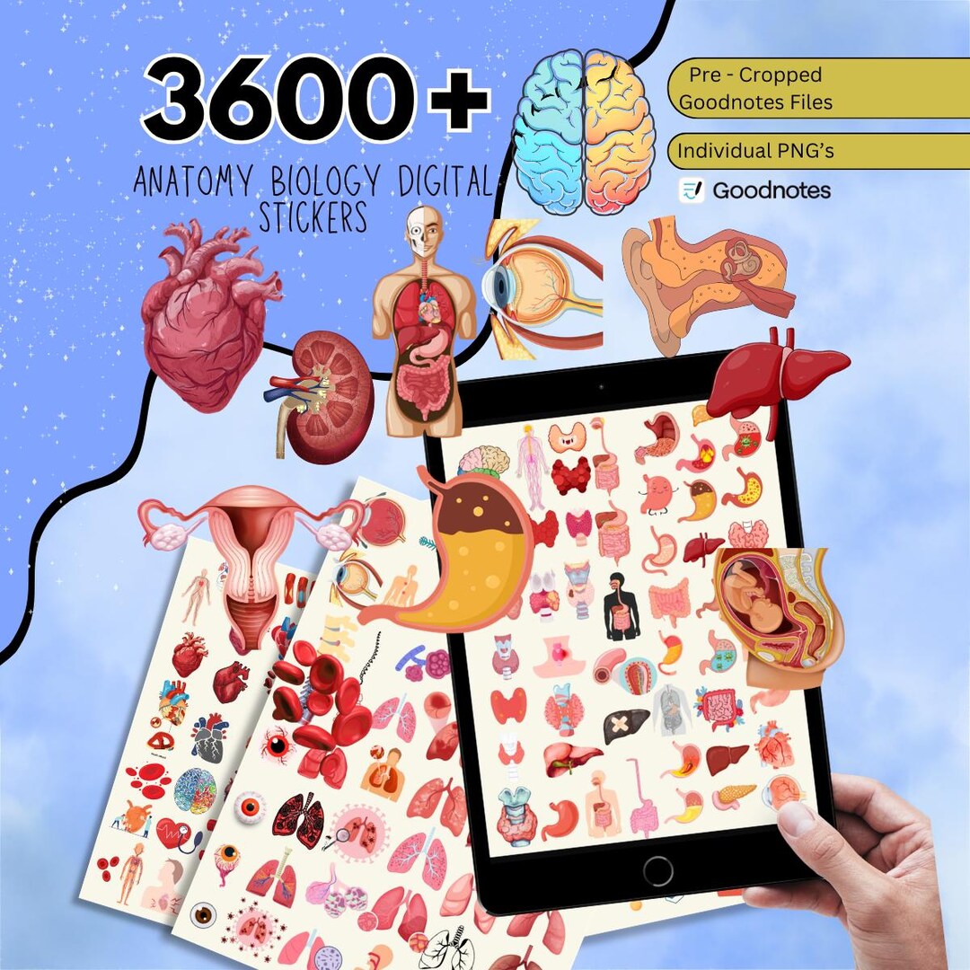 3600+ Human Anatomy Stickers, Pre-cropped Human Body Stickers, Biology ...