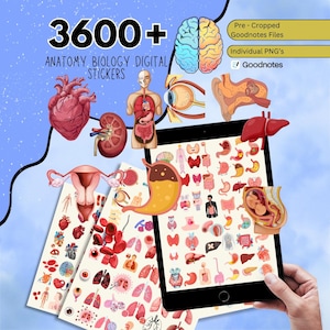 May include: Digital stickers for anatomy and biology, featuring illustrations of human organs and systems. The image includes a tablet displaying various stickers, along with pre-cropped Goodnotes files and individual PNGs. The text reads "3600+ Anatomy Biology Digital Stickers."