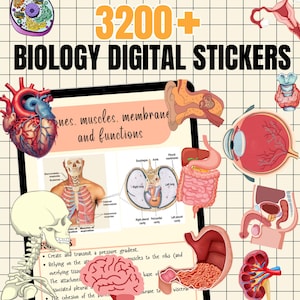 3200+ adesivi digitali di biologia, adesivi pretagliati del corpo umano, adesivi digitali di biologia e anatomia, adesivi Goodnotes, adesivi medici