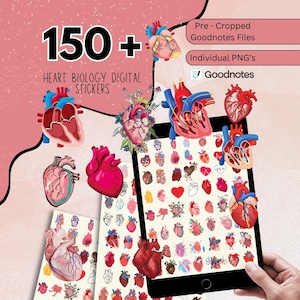 Può includere: Adesivi digitali con illustrazioni di biologia del cuore. L'immagine mostra un tablet che mostra vari disegni di cuori, con adesivi a forma di cuore aggiuntivi sparsi. Il testo recita "150+ Heart Biology Digital Stickers."