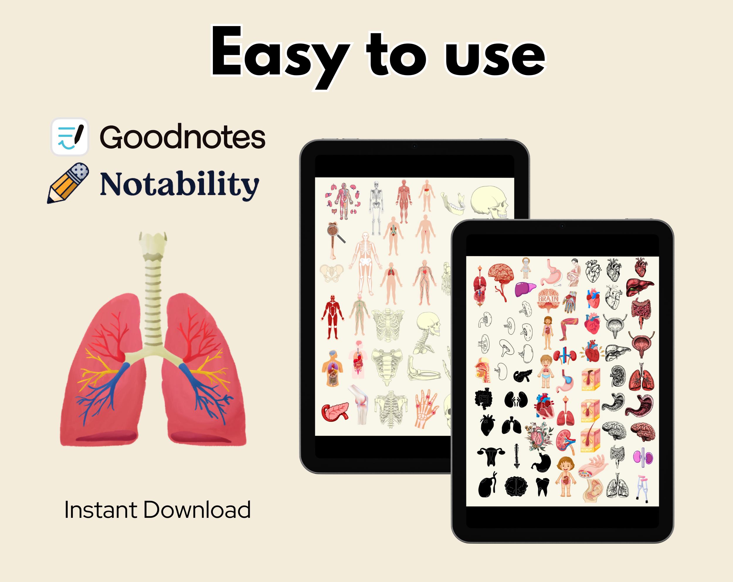 4000 + Biology Digital Stickers, Pre-cropped Human Body Stickers ...