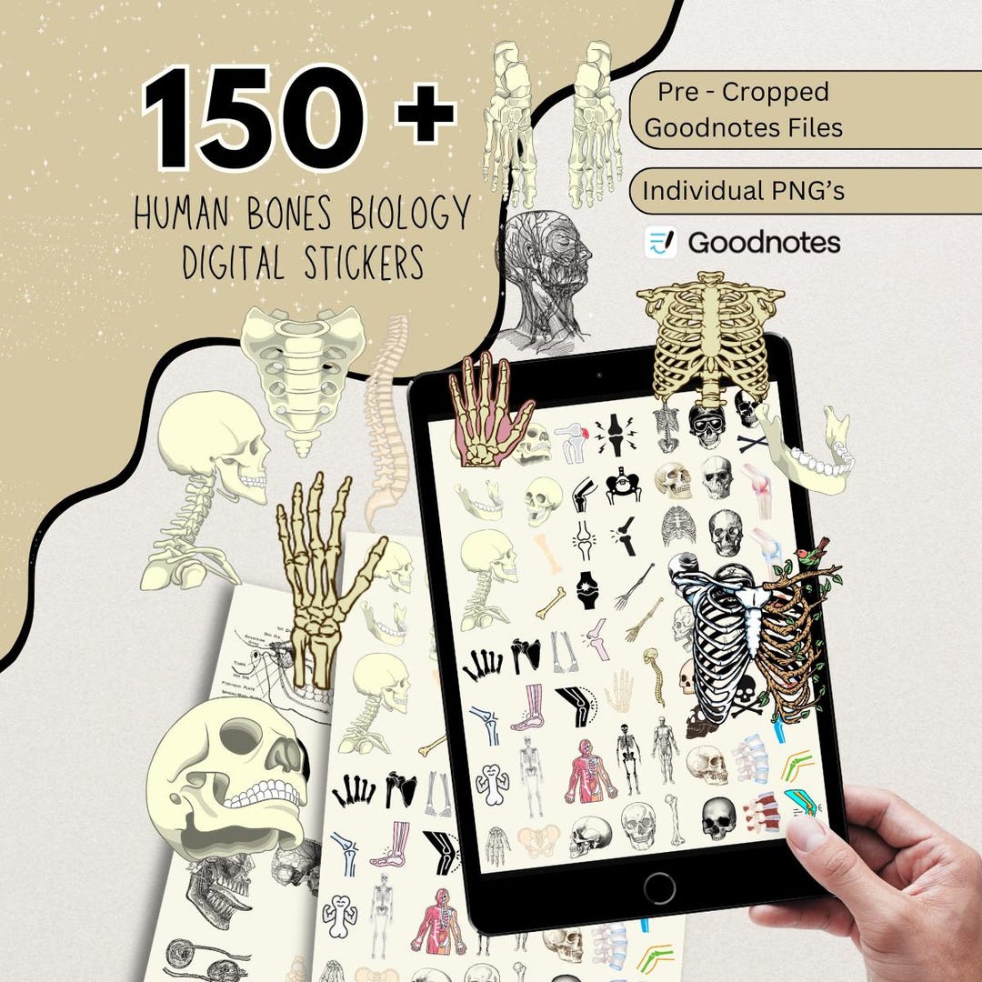 Bone Inlay Sticker 170 + Bones Digital Stickers, Human Body Stickers, Medical Stickers ...