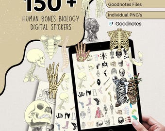 Más de 170 pegatinas digitales de huesos, pegatinas del cuerpo humano, pegatinas médicas, pegatinas ortopédicas, pegatinas para estudiar, pegatinas de anatomía y fisiología.