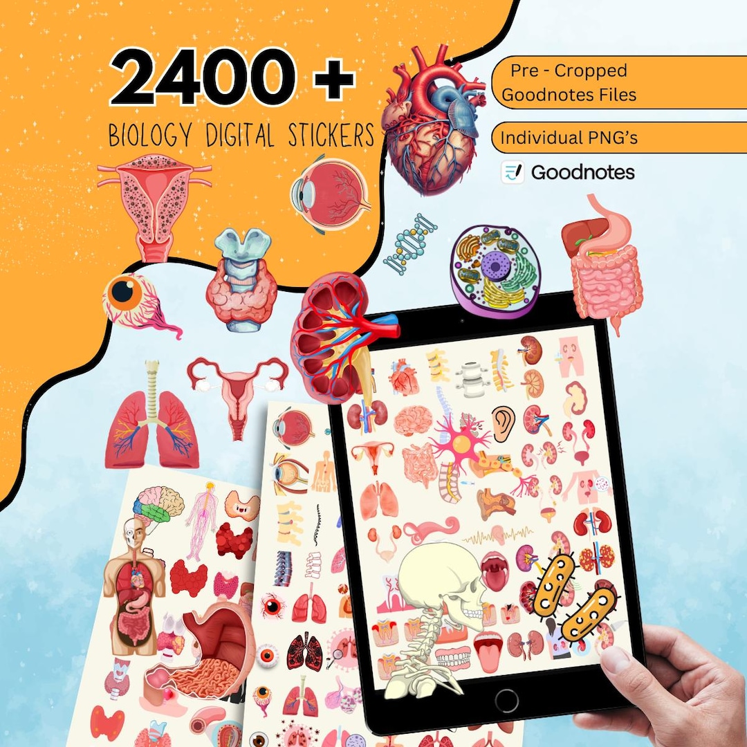 3500 + Biology Digital Stickers, Pre-cropped Human Body Stickers ...