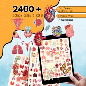 May include: Digital biology stickers featuring illustrations of human anatomy, including the heart, lungs, and brain. The image shows a tablet displaying various stickers, with the text "2400+ Biology Digital Stickers".