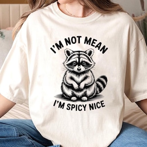 Ich bin nicht gemein, ich bin würziger netter Png, sarkastischer Waschbär PNG, lustige Png für geistige Gesundheit, lustige Sprüche Png, Waschbär-Shirt Sublimationsdesign