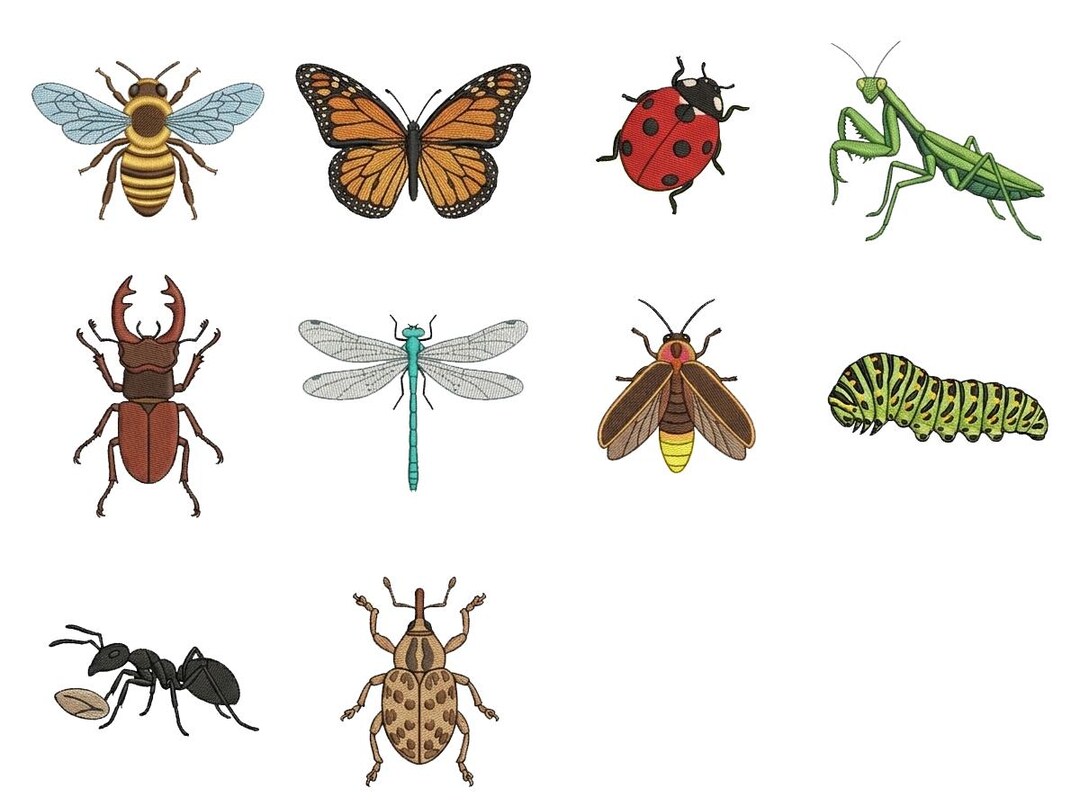 Design Tricky Insect Set of 10 Insect Embroidery Design: Butterfly, Ladybug, Beetle ...
