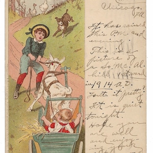 1906 Vintage Postkarte, Ziegenwagen, Kinder, Hund, Chicago