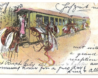 1907 Postcard, Creepy Mosquitos Greet Train Passengers