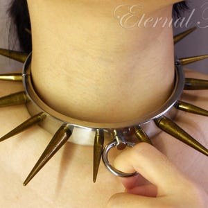 Spiked Locking Stainless Steel Collar
