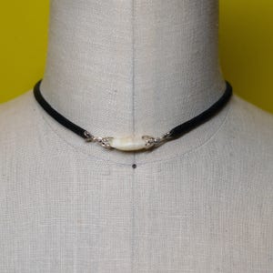 Animal Bone Leather Choker Necklace- Coyote Fang Choker- Real
