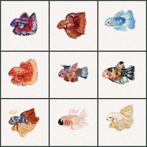 May include: Nine watercolor paintings of betta fish in various colors and patterns. The fish are depicted with detailed fins and smiling faces. The color palette includes shades of red, blue, orange, and yellow.