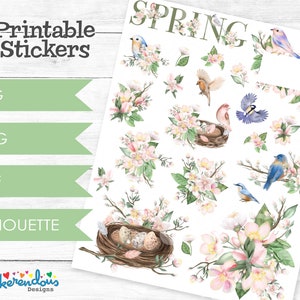 Spring Blooms & Birds Watercolor Printable Planner Decorative Stickers, Happy Planner, Erin Condren, Spring Stickers, Deco Stickers