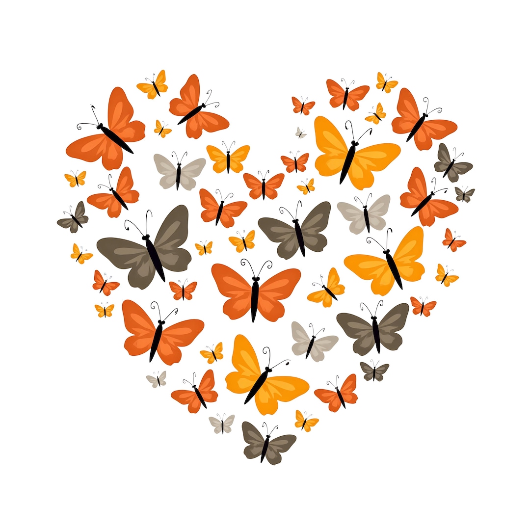 Butterfly heart tshirt main image 1
