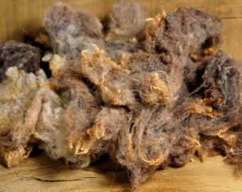 Washed Coloured Ryeland Sheep's Fleece from 'Truffle', 100g