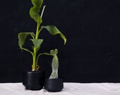 Modern Black Porcelain Planter Ceramic Home Decor for your House Plant Collection Black Ceramic Planter