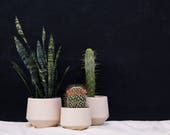 Modern Blush Pink Porcelain Planter Ceramic Home Decor for your House Plant Collection Blush Pink Ceramic Planter