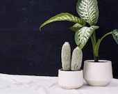 Modern Ivory Speckle Porcelain Planter Ceramic Home Decor for your House Plant Collection Ivory Speckle Ceramic Planter