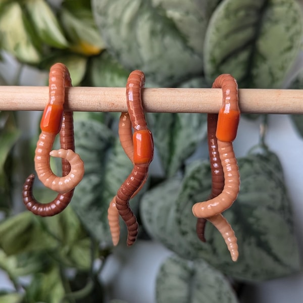 Perchas de medición de lombrices de tierra, pesas de medición, núcleo de duende, núcleo forestal, descomponedores