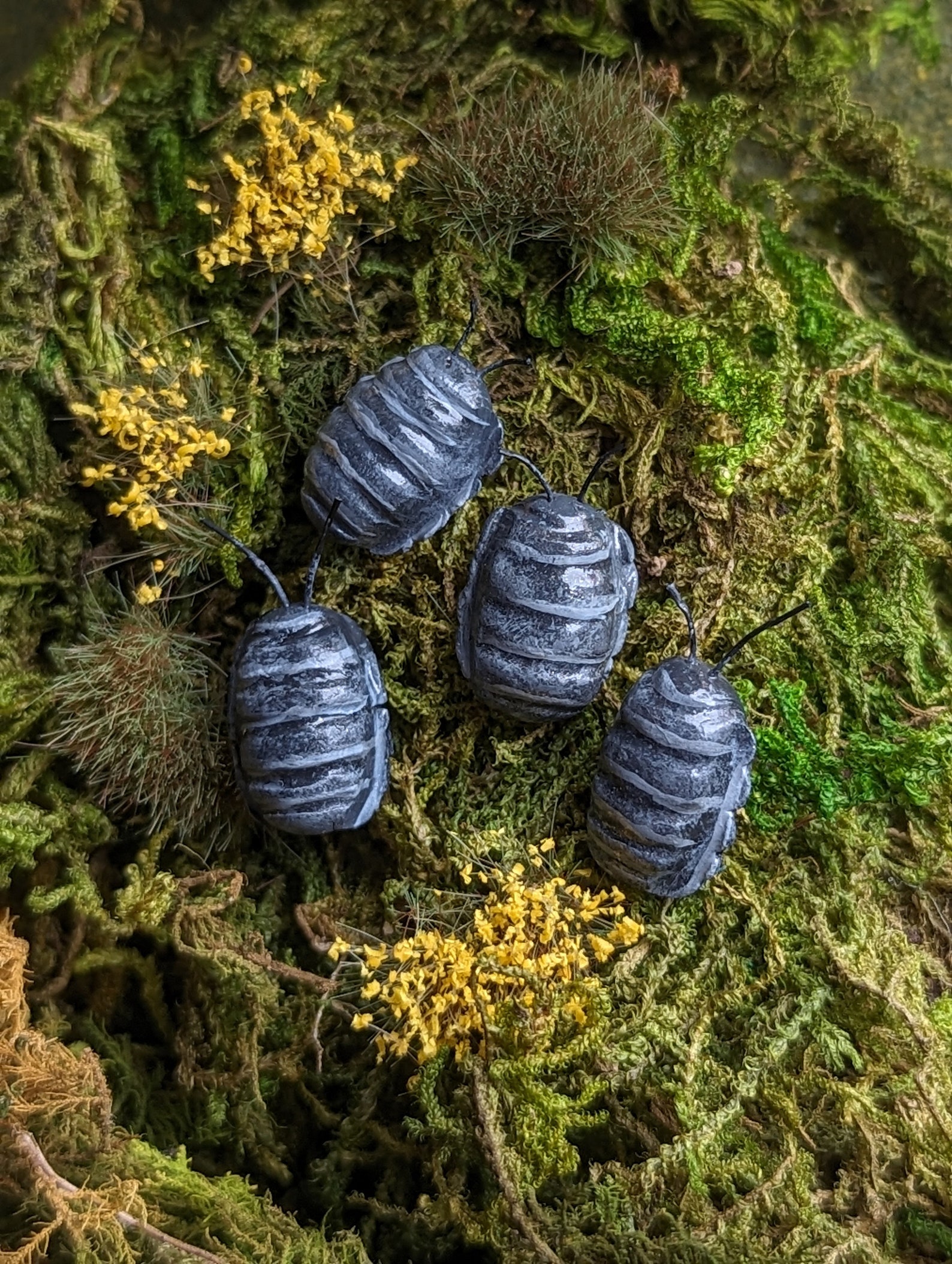 Rolls Earrings main image 0