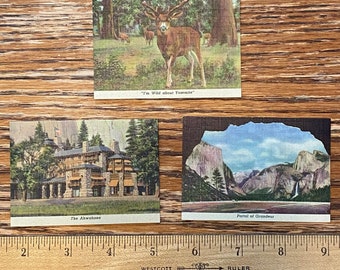 1920s Yosemite Linen Mini-Souvenir Cards. Set of 3