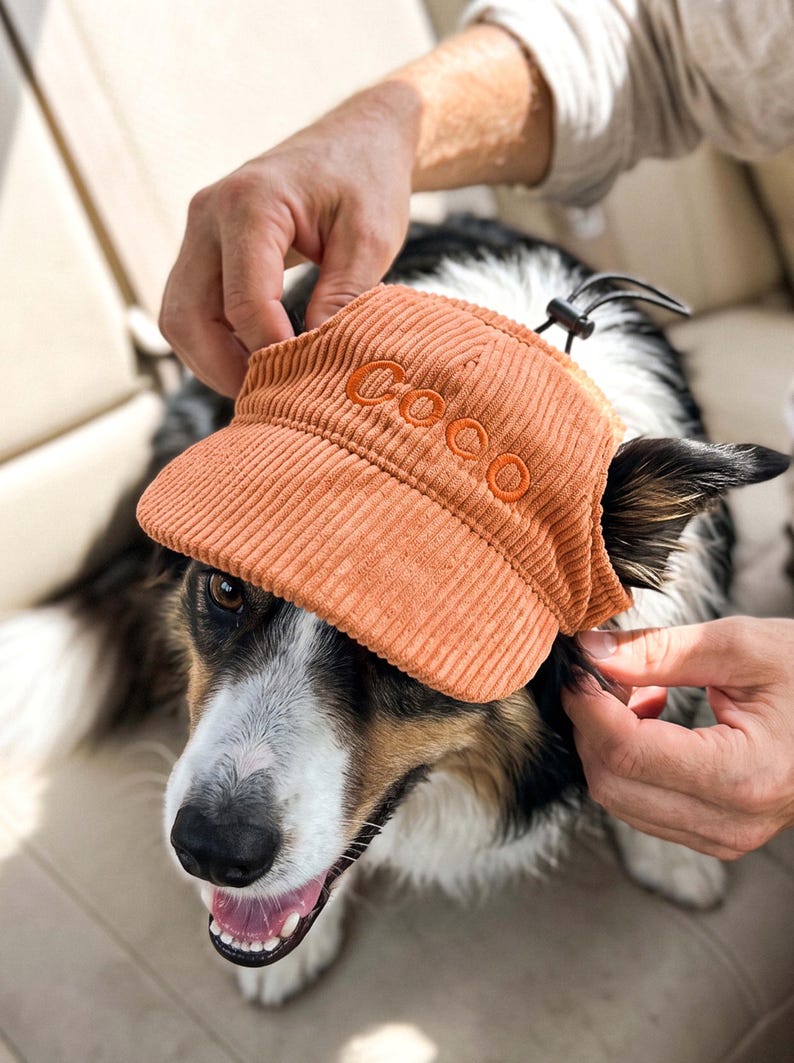 May include: An orange corduroy pet visor featuring the name Coco embroidered in matching orange thread on the front panel. The visor includes an adjustable black elastic cord with a plastic toggle fastener to secure it around the head.