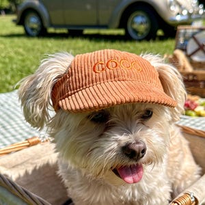 May include: A small, light-colored dog with long fur wearing a rust-colored corduroy visor cap. The cap features the word COCO embroidered in a matching orange thread on the front panel. The visor has a textured, ribbed fabric finish.