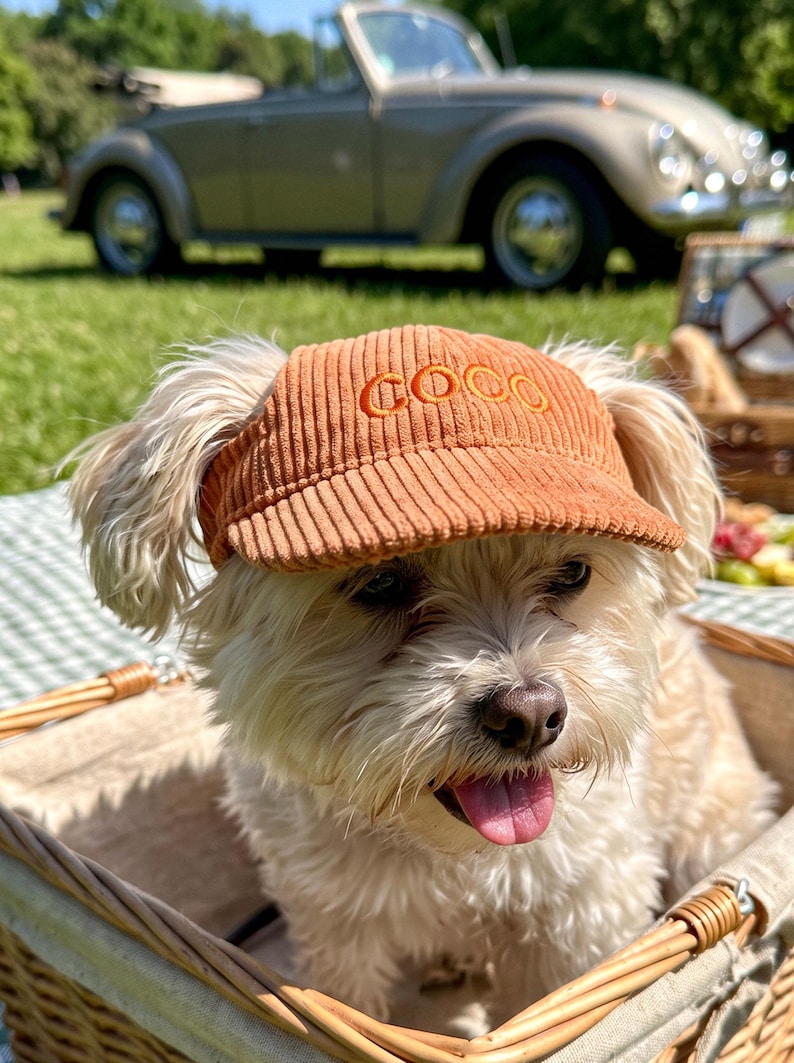 May include: A small, light-colored dog with long fur wearing a rust-colored corduroy visor cap. The cap features the word COCO embroidered in a matching orange thread on the front panel. The visor has a textured, ribbed fabric finish.