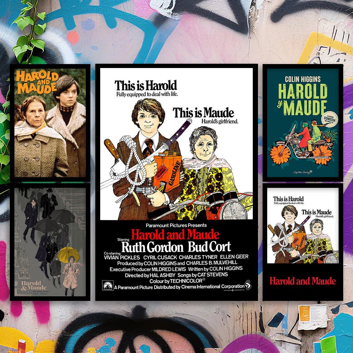 Harold Und Maude [VHS] – Kultfilm Auf VHS Als UK Import