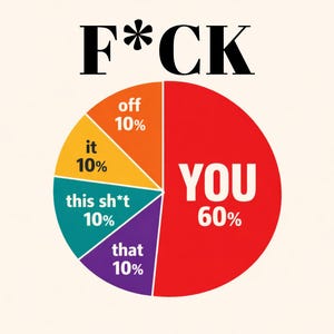 May include: A humorous pie chart with the word "F*CK" at the top. The chart is divided into segments labeled "off", "it", "this sh*t", "that", and "YOU", with percentages. The "YOU" segment is the largest, at 60%.